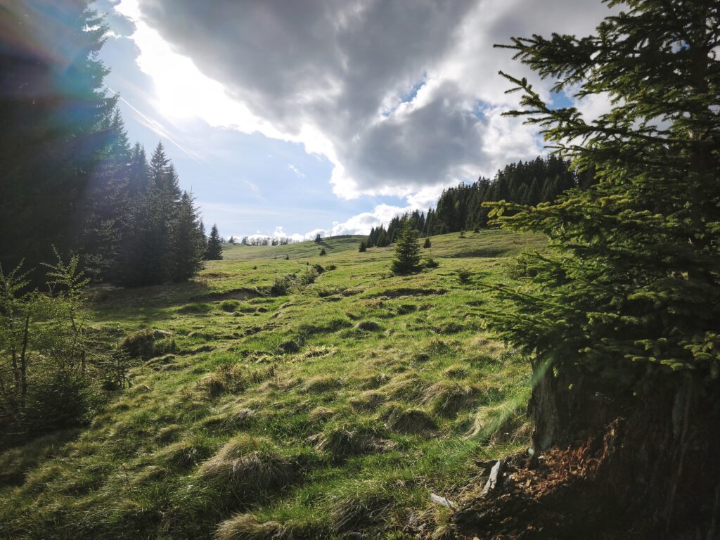Vošca 1737 m - razgled Martuljška skupina Julijske Alpe Karavanke