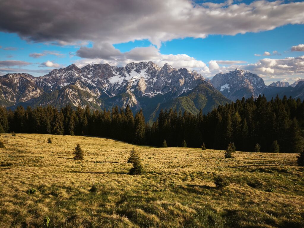 Vošca 1737 m - razgled Martuljška skupina Julijske Alpe Karavanke